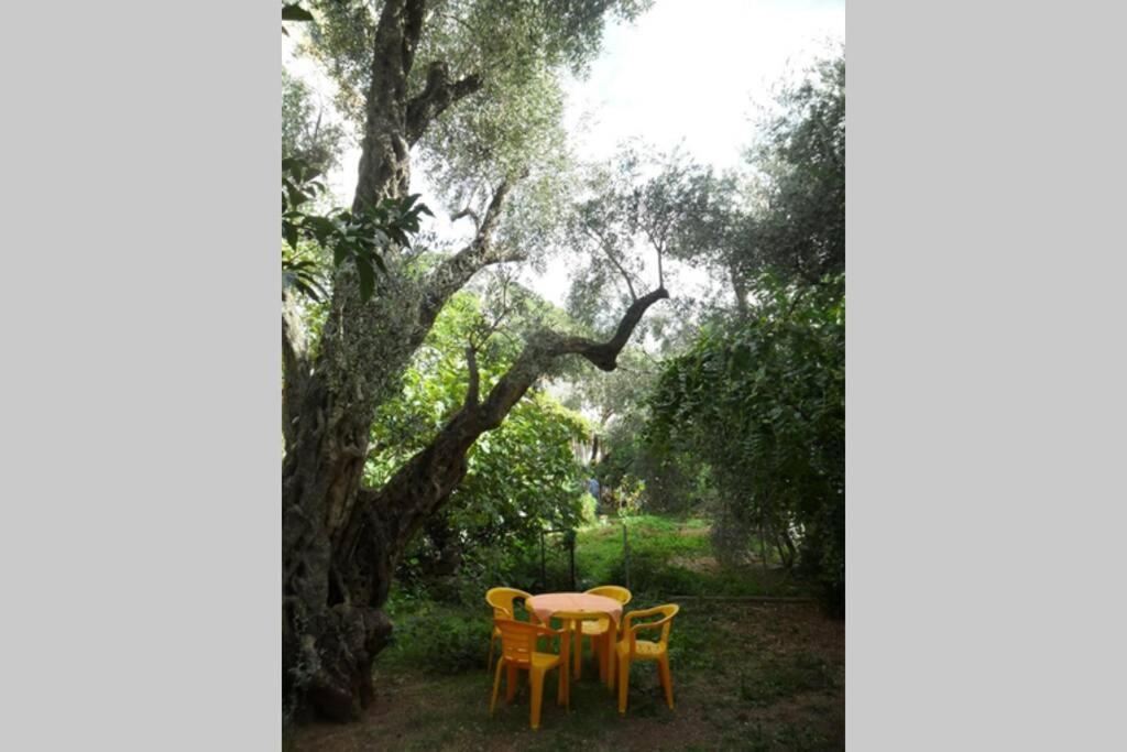 Bmv Room For 2-3 With Greenery View Sveti Stefan Exterior photo